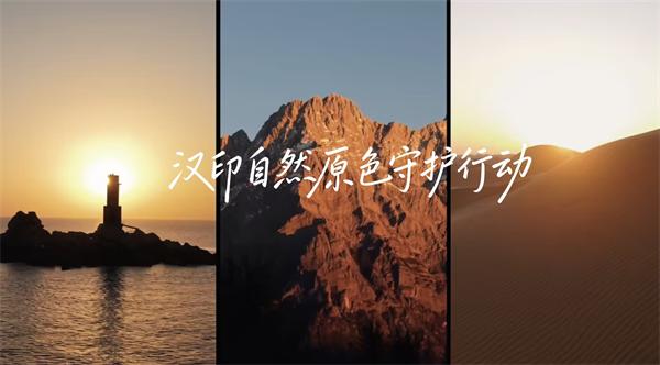 PP电子游戏三原色守护行动